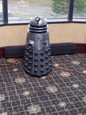 I can almost see out of this window